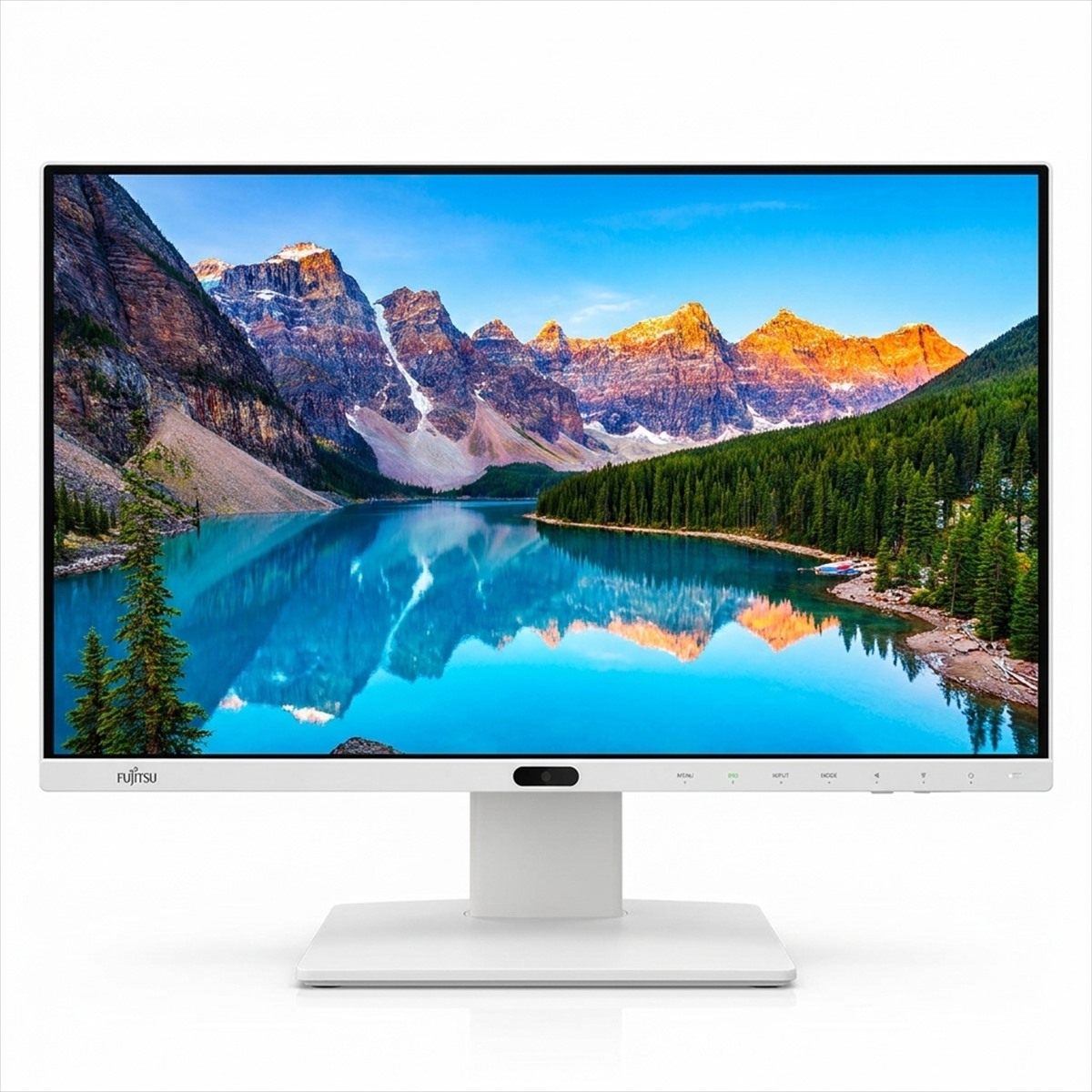 Fujitsu Display B24-9 TE 24" Full HD IPS Ergonomic Desktop Monitor (White) – Pre-Owned